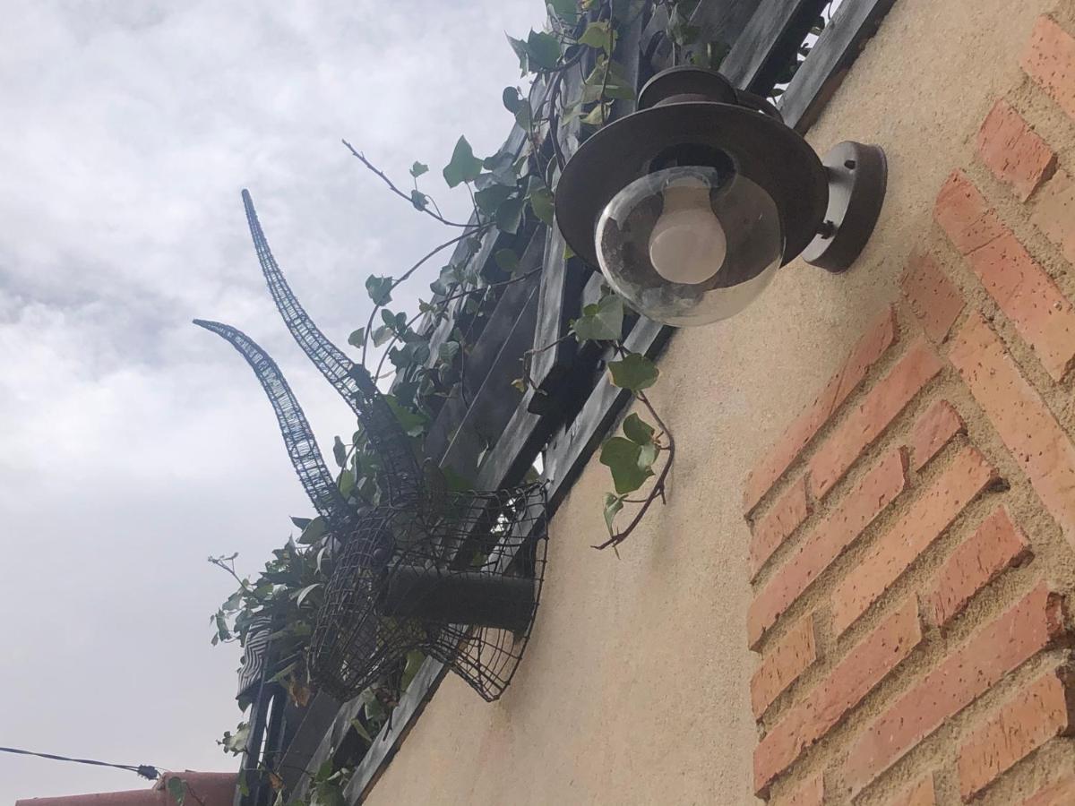 Atelier - Jardin Y Terraza * Velliza